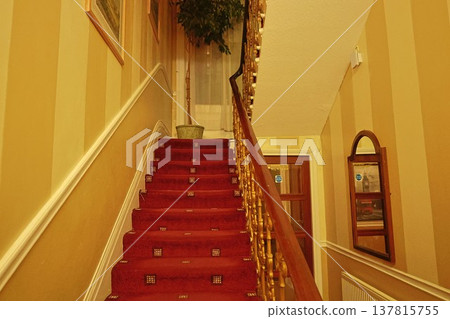 Carpeted staircase in an old building in London, England 137815755