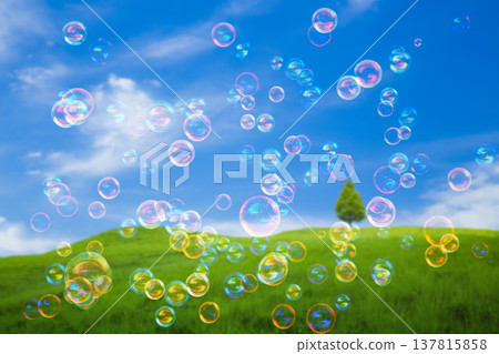 Soap bubbles in a grassy field Soap bubbles in a grassy field 137815858