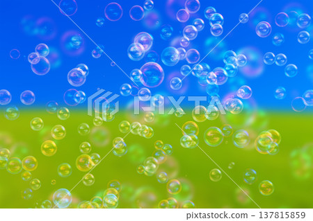 草地上的肥皂泡 草地上的肥皂泡 137815859