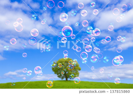 草地上的肥皂泡 草地上的肥皂泡 137815860