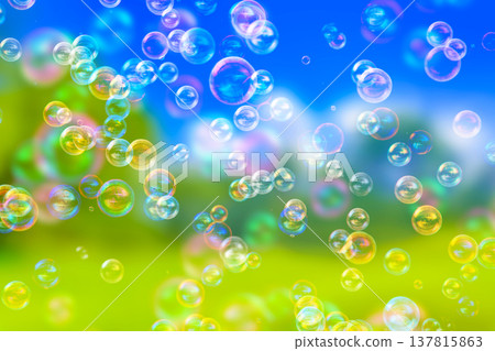 Soap bubbles in a grassy field 137815863
