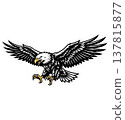 A majestic eagle in flight with outstretched wings on a black background 137815877