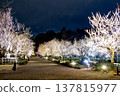 Mito Kairakuen Mito Kairakuen 137815977