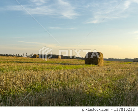 Hay bale stands in rural countryside field during summer harvest. Golden straw rests on grass meadow Hay bale stands in rural countryside field during summer harvest. Golden straw rests on grass meadow 137816238