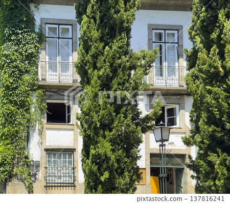 Historic residential facade with balconies and tall cypress trees in Guimaraes Portugal. Traditional European house with white walls and green shutters on sunny street. Travel destination, 137816241