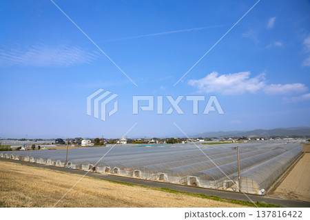 A clear, sunny view of the Chikugo Plain and a landscape with greenhouses. A clear, sunny view of the Chikugo Plain and a landscape with greenhouses. 137816422