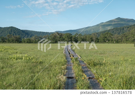 A summer scene of the Oze Marsh and Mt. Shibutsu, with wooden boardwalks stretching along the way. 137816578