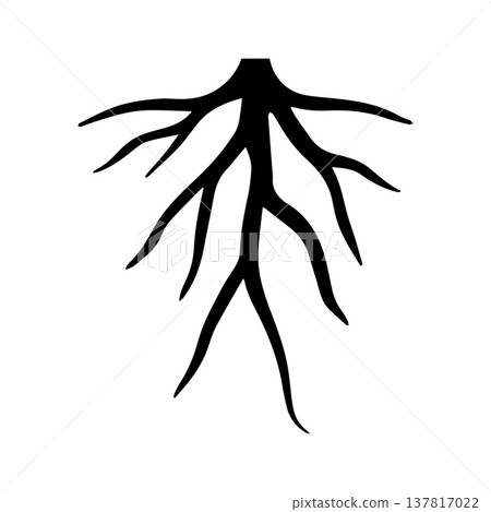 Intricately Interwoven Root Symbol Created Through Light Organic Strokes 137817022