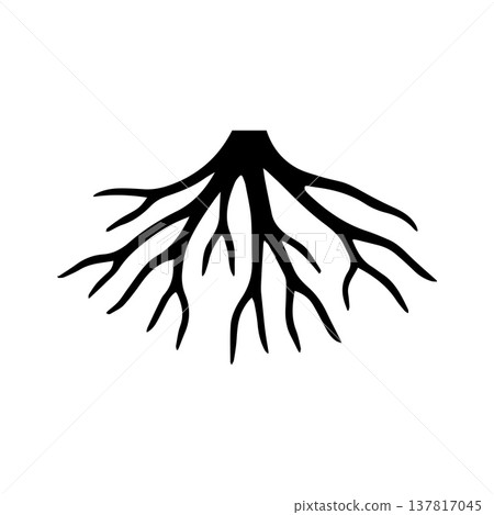 Minimalist Root Illustration Showing Balanced Organic Line Structure 137817045