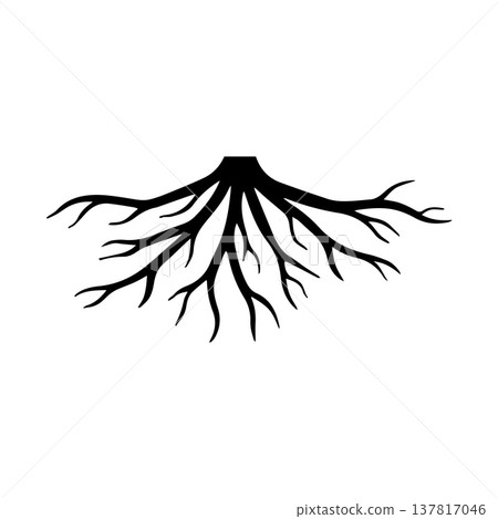 Elegant Contemporary Root Design With Delicate Linear Branching Form Elegant Contemporary Root Design With Delicate Linear Branching Form 137817046