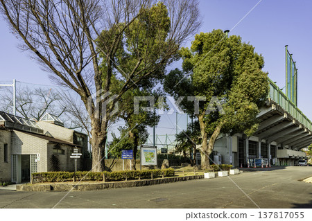 愛知縣名古屋市熱田市熱田神宮公園熱田棒球場 137817055