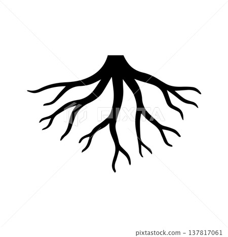 Geometric Botanical Root Symbol Displaying Clean Triangle Formation 137817061