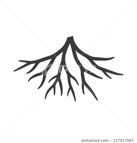Abstract Botanical Swirl Featuring Elegant Curving Root Structure 137817065