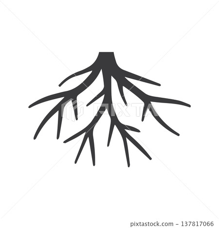 Radial Root Expansion Displayed In Minimalist Star-Like Formation Radial Root Expansion Displayed In Minimalist Star-Like Formation 137817066