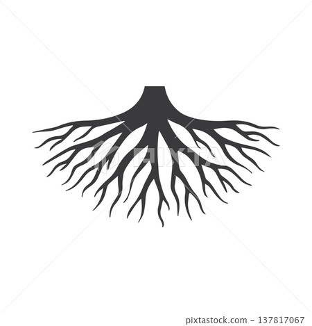 Clean Outward Root Pattern Featuring Sharp Radiating Branch Geometry Clean Outward Root Pattern Featuring Sharp Radiating Branch Geometry 137817067