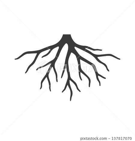 Layered Minimalist Root Illustration Showing Overlapping Organic Lines 137817070
