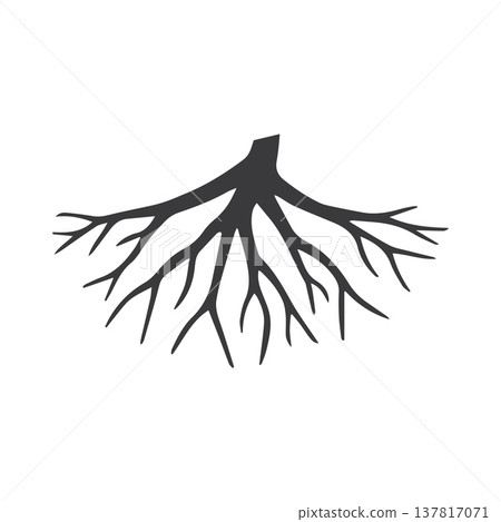 Soft Multi-Layer Botanical Root Composition With Intersecting Branches Soft Multi-Layer Botanical Root Composition With Intersecting Branches 137817071