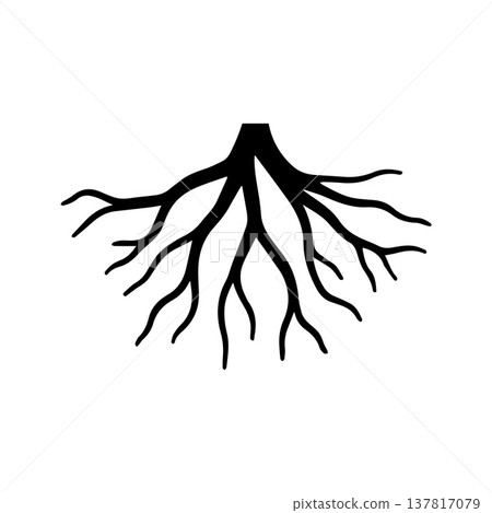 Artistic Botanical Line Composition Created With Spontaneous Root Patterns 137817079