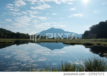 This is a refreshing landscape photograph capturing the wooden boardwalk that runs through Oze National Park's Oze Marsh, with the majestic Mt. Shibutsu rising in the background to the right. The sky is a clear blue. This is a refreshing landscape photograph capturing the wooden boardwalk that runs through Oze National Park's Oze Marsh, with the majestic Mt. Shibutsu rising in the background to the right. The sky is a clear blue. 137817171