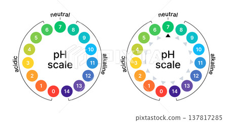 Ph balance scale. Acid or alkaline value. Circle chart test. Litmus indicator for chemistry, medicine, and soil. Ph balance scale. Acid or alkaline value. Circle chart test. Litmus indicator for chemistry, medicine, and soil. 137817285