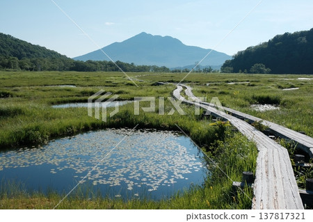 夏日的尾瀨濕地景色,有池塘、木棧道和日向岳。 夏日的尾瀨濕地景色,有池塘、木棧道和日向岳。 137817321