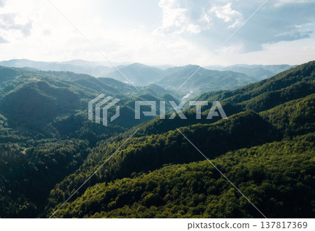 Majestic landscape of mountains covered with trees, aerial view 137817369