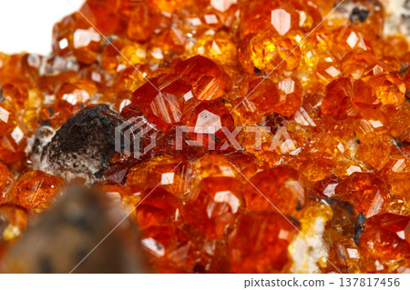 macro mineral stone Spessartine, orange, red garnet with quartz on white background 137817456