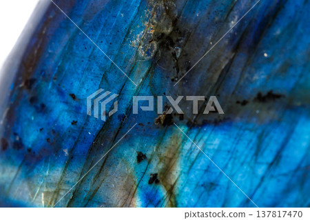 Macro mineral stone Labradorite on white background Macro mineral stone Labradorite on white background 137817470