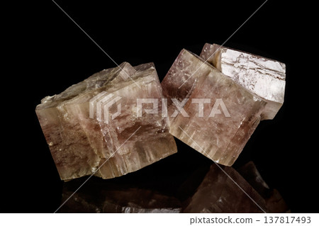 Macro mineral stone Aragonite on a black background Macro mineral stone Aragonite on a black background 137817493
