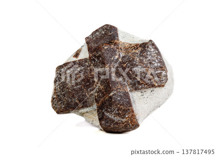 Macro mineral stone Staurolite on a white background 137817495