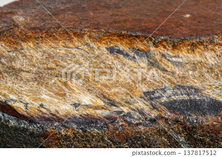 Macro mineral stone Snake eye in the rock a white background Macro mineral stone Snake eye in the rock a white background 137817512