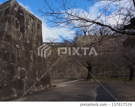 Tsuyama Castle, Okayama Prefecture Tsuyama Castle, Okayama Prefecture 137817524