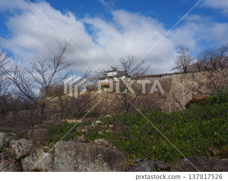 Tsuyama Castle, Okayama Prefecture 137817526
