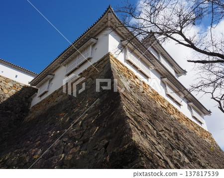 岡山縣津山城 岡山縣津山城 137817539
