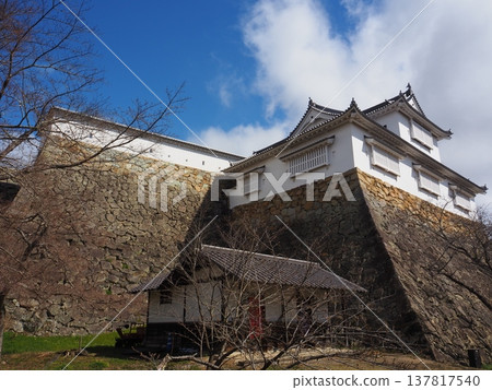 岡山縣津山城 岡山縣津山城 137817540