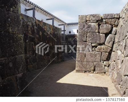 岡山縣津山城 岡山縣津山城 137817560