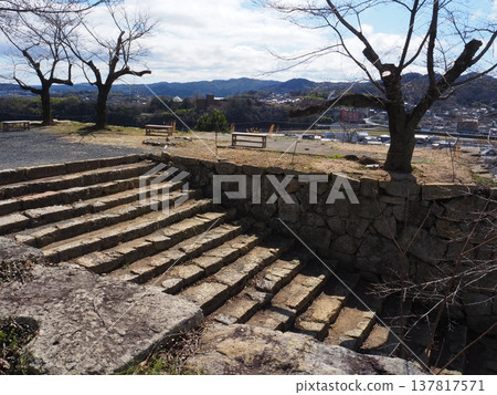 岡山縣津山城 岡山縣津山城 137817571