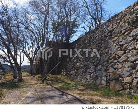 岡山縣津山城 岡山縣津山城 137817573