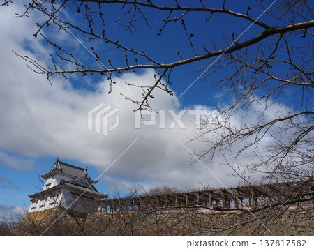 岡山縣津山城 137817582