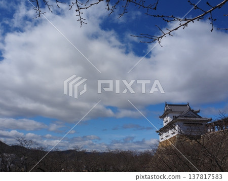 岡山縣津山城 137817583