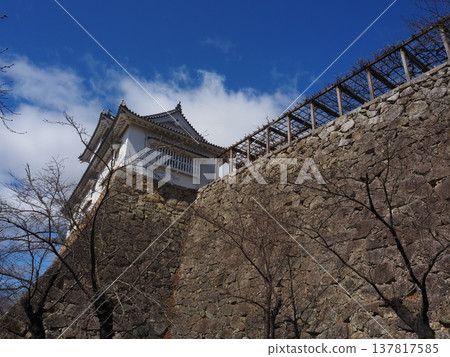 岡山縣津山城 137817585