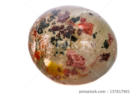 Macro mineral stone Quartz aquarium on a white background 137817901