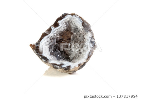 Macro mineral stone agate kidney gerbera on white background 137817954