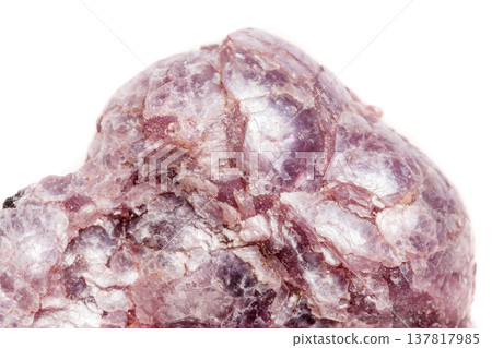Macro mineral stone Lepidolite in the rock a white background 137817985