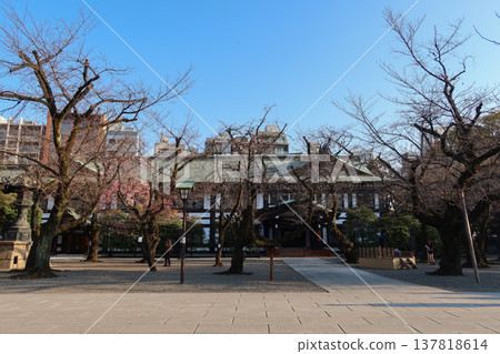 Cherry blossoms at Yasukuni Shrine just before they bloom (March 17, 2026) Cherry blossoms at Yasukuni Shrine just before they bloom (March 17, 2026) 137818614