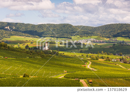 Vineyards of the Klettgau wine region, Canton of Schaffhausen, Switzerland Vineyards of the Klettgau wine region, Canton of Schaffhausen, Switzerland 137818629