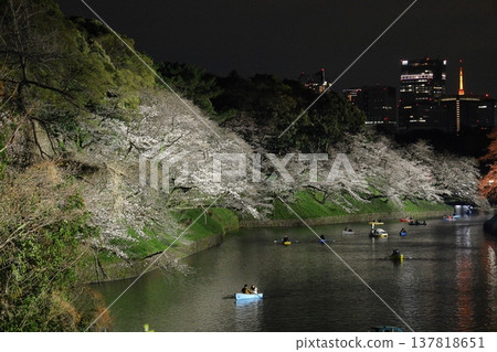 春天盛開 137818651