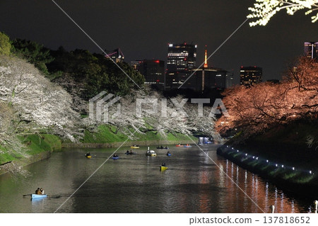 Spring in full bloom 137818652