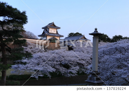 Spring in full bloom Spring in full bloom 137819224
