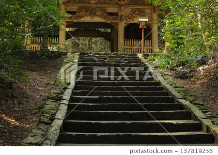 The stone steps of Nishiyama Koryu-ji Temple on the Shikoku Pilgrimage The stone steps of Nishiyama Koryu-ji Temple on the Shikoku Pilgrimage 137819236